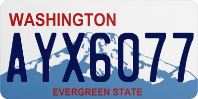 WA license plate AYX6077