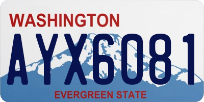 WA license plate AYX6081