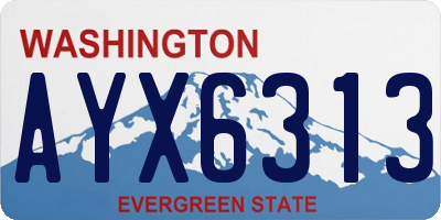 WA license plate AYX6313