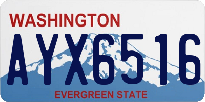 WA license plate AYX6516