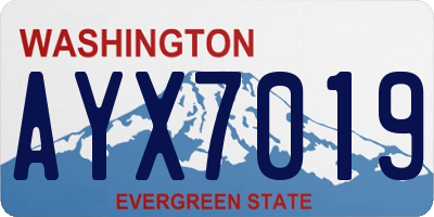 WA license plate AYX7019