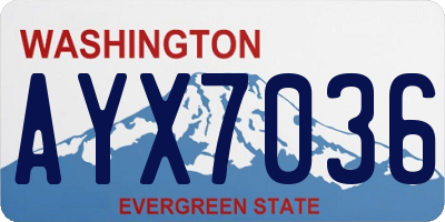 WA license plate AYX7036