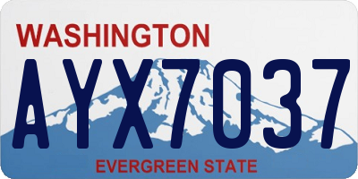 WA license plate AYX7037