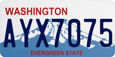 WA license plate AYX7075