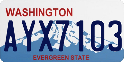 WA license plate AYX7103