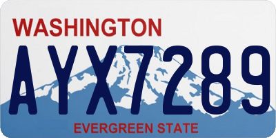 WA license plate AYX7289