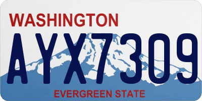 WA license plate AYX7309