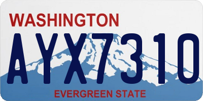 WA license plate AYX7310