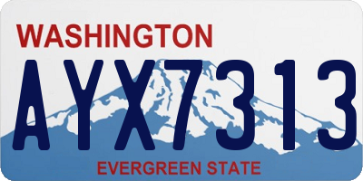 WA license plate AYX7313