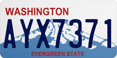 WA license plate AYX7371