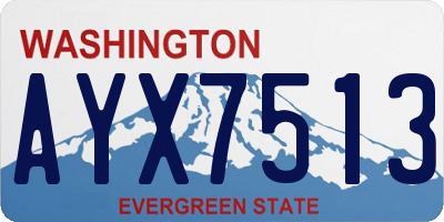 WA license plate AYX7513