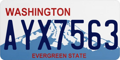 WA license plate AYX7563