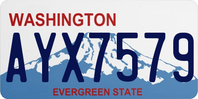 WA license plate AYX7579