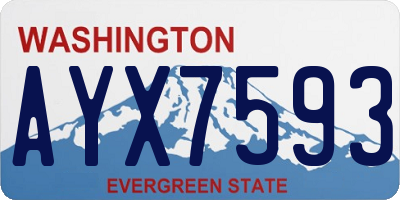 WA license plate AYX7593