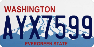 WA license plate AYX7599