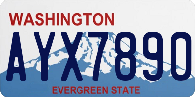 WA license plate AYX7890