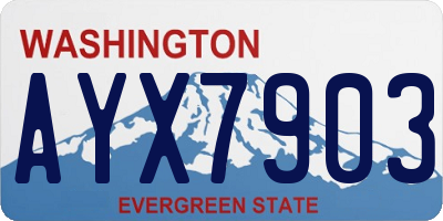 WA license plate AYX7903