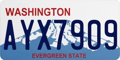 WA license plate AYX7909