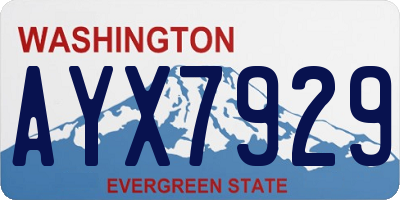 WA license plate AYX7929