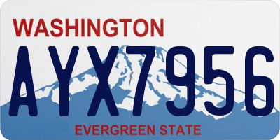 WA license plate AYX7956