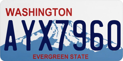 WA license plate AYX7960