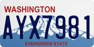 WA license plate AYX7981