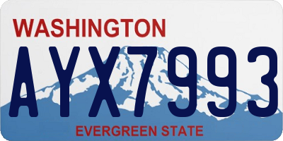 WA license plate AYX7993