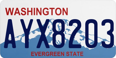 WA license plate AYX8203