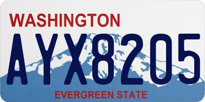 WA license plate AYX8205