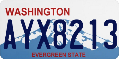 WA license plate AYX8213