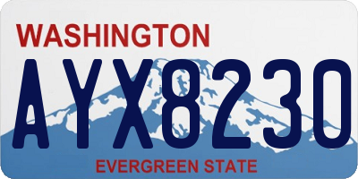 WA license plate AYX8230