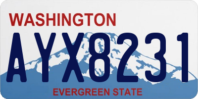 WA license plate AYX8231