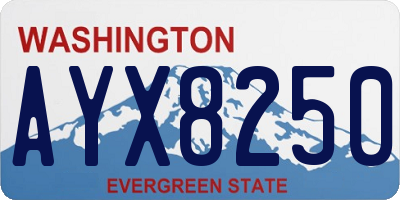 WA license plate AYX8250