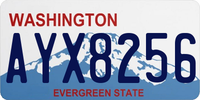 WA license plate AYX8256