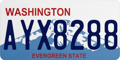 WA license plate AYX8288