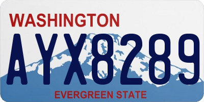 WA license plate AYX8289