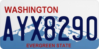 WA license plate AYX8290