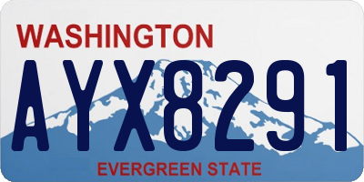 WA license plate AYX8291