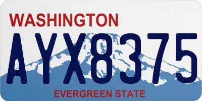 WA license plate AYX8375