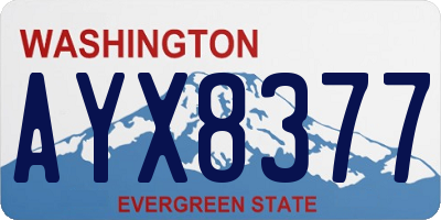 WA license plate AYX8377