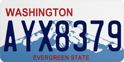 WA license plate AYX8379