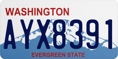 WA license plate AYX8391