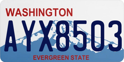 WA license plate AYX8503