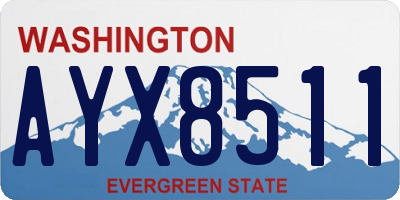 WA license plate AYX8511