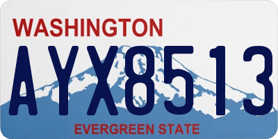 WA license plate AYX8513