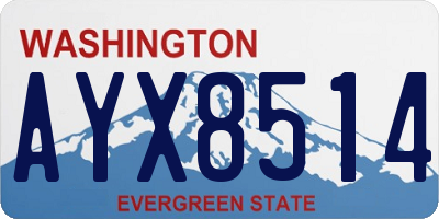 WA license plate AYX8514