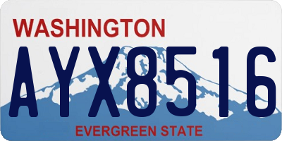 WA license plate AYX8516