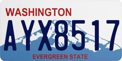 WA license plate AYX8517