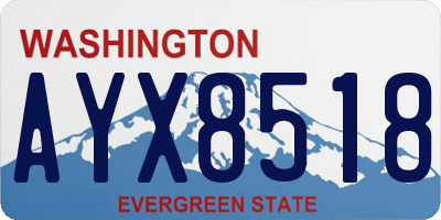 WA license plate AYX8518