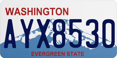 WA license plate AYX8530